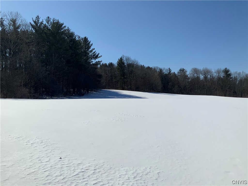 0 Hoffman Road St. Johnsville, NY 13452 - Photo 5 of 35