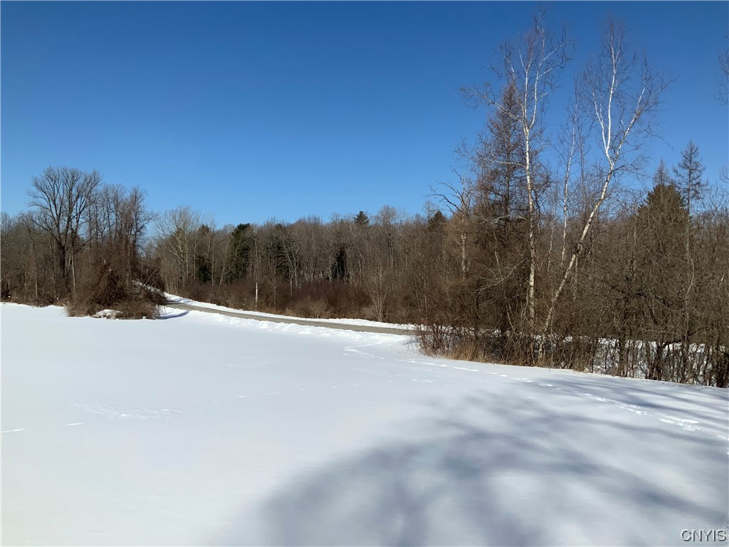 0 Hoffman Road St. Johnsville, NY 13452 - Photo 6 of 35