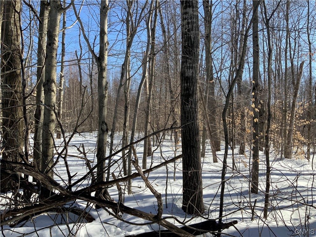 0 Hoffman Road St. Johnsville, NY 13452 - Photo 7 of 35