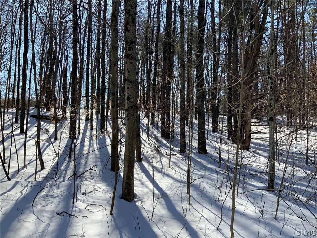 0 Hoffman Road St. Johnsville, NY 13452 - Photo 8 of 35