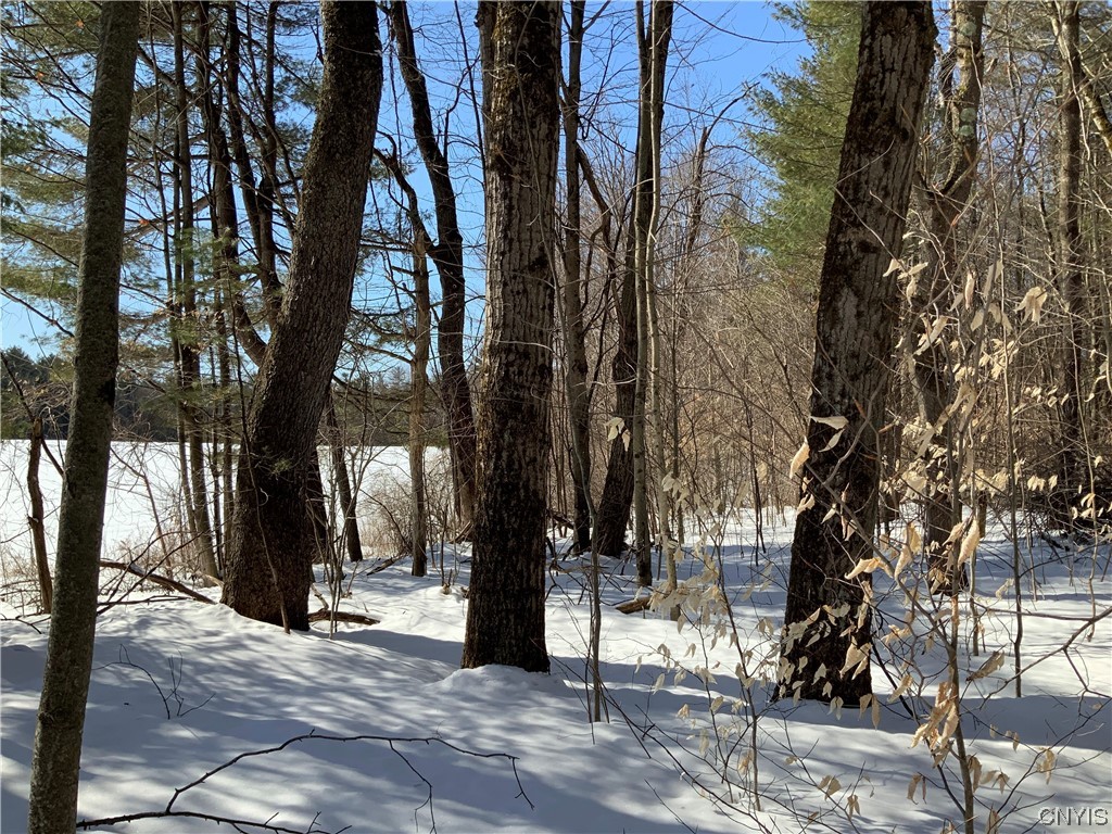 0 Hoffman Road St. Johnsville, NY 13452 - Photo 9 of 35