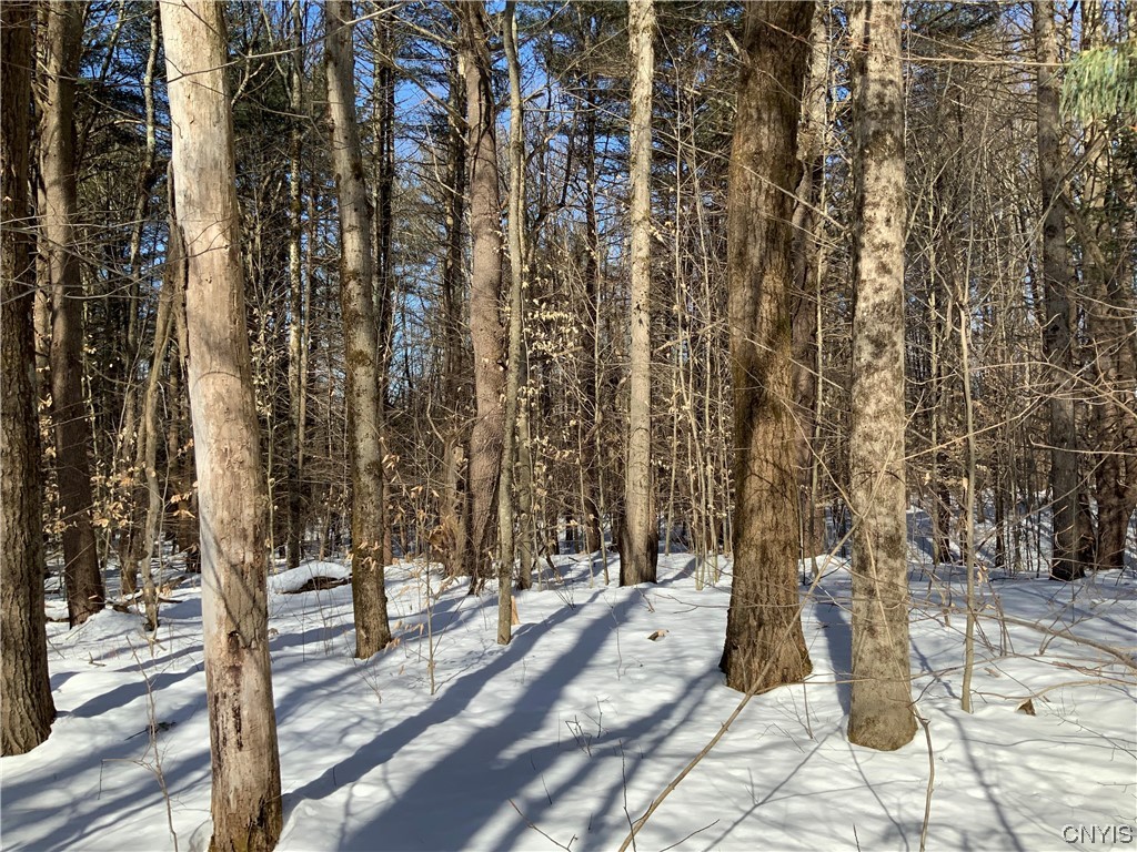 0 Hoffman Road St. Johnsville, NY 13452 - Photo 10 of 35