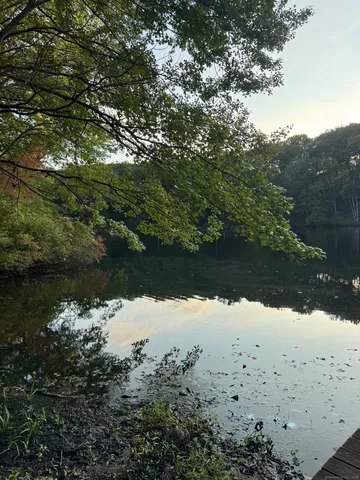 a view of lake with green space