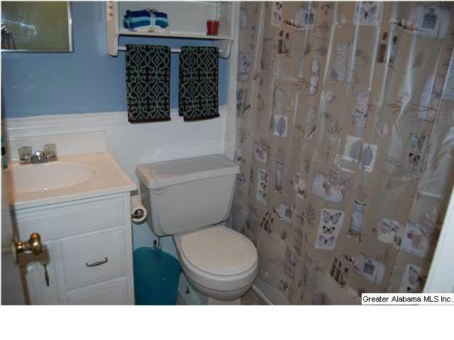 952 Carson Lane Southwest Jacksonville, AL 36265 - Photo 15 of 20