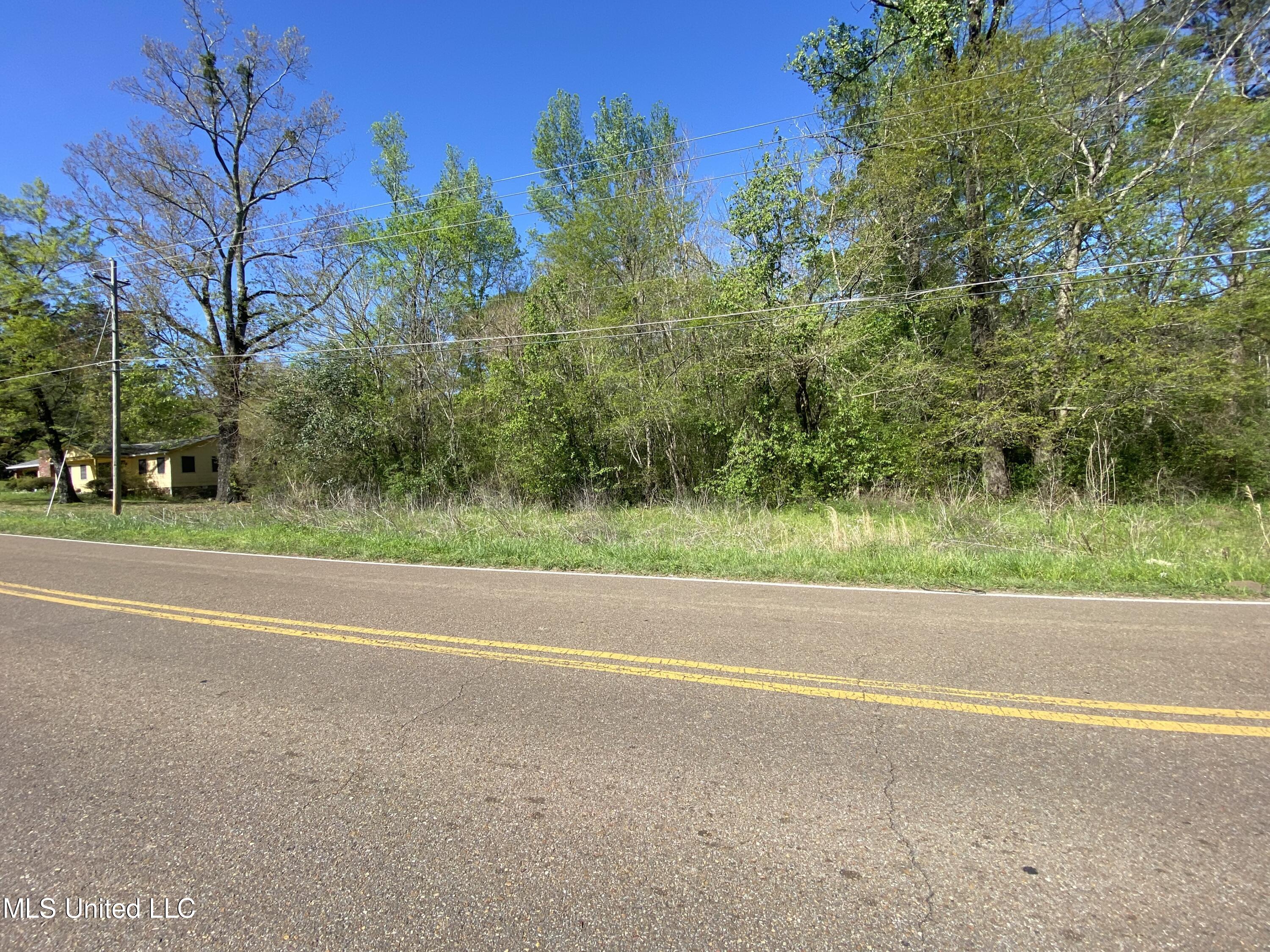 Rainey Rd Road Jackson, MS 39212 - Photo 4 of 5 IMG_2982