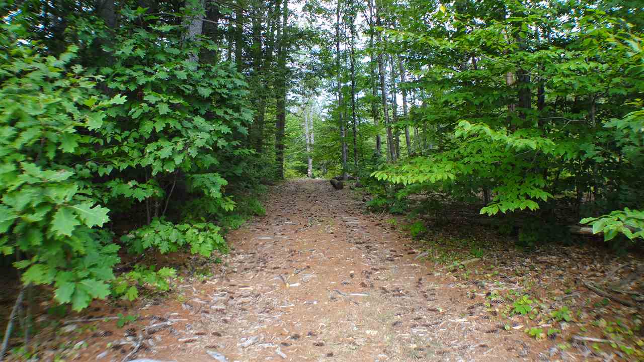 50 Poverty Road Hillsborough, NH 03244 - Photo 1 of 25 Gallery Image 1