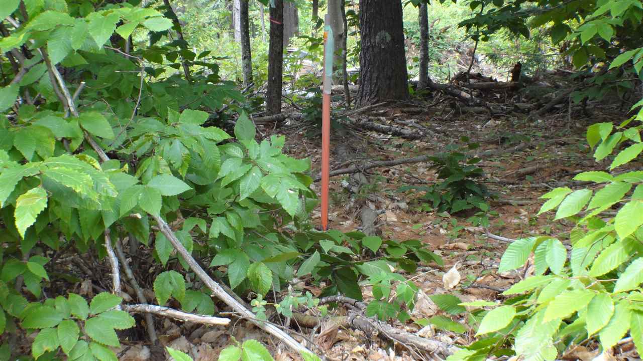 50 Poverty Road Hillsborough, NH 03244 - Photo 2 of 25 Gallery Image 2