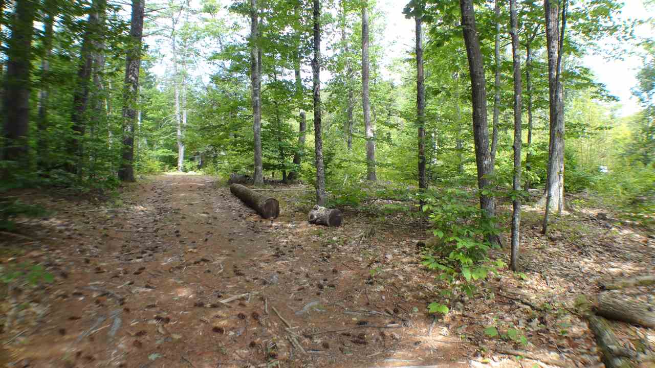 50 Poverty Road Hillsborough, NH 03244 - Photo 11 of 25 Gallery Image 11
