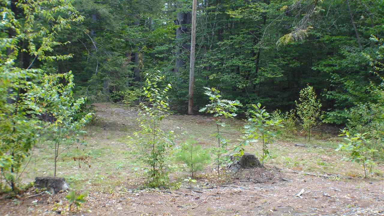 50 Poverty Road Hillsborough, NH 03244 - Photo 14 of 25 Gallery Image 14