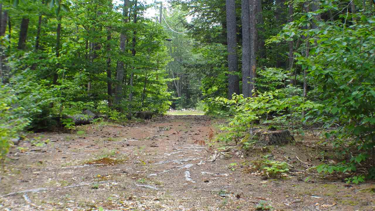 50 Poverty Road Hillsborough, NH 03244 - Photo 16 of 25 Gallery Image 16