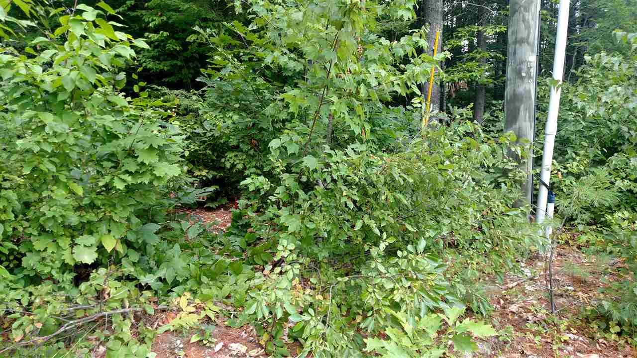 50 Poverty Road Hillsborough, NH 03244 - Photo 17 of 25 Gallery Image 17