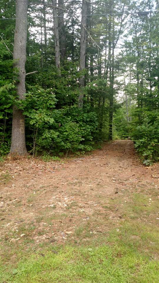 50 Poverty Road Hillsborough, NH 03244 - Photo 18 of 25 Gallery Image 18
