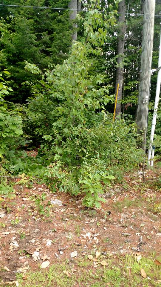 50 Poverty Road Hillsborough, NH 03244 - Photo 19 of 25 Gallery Image 19