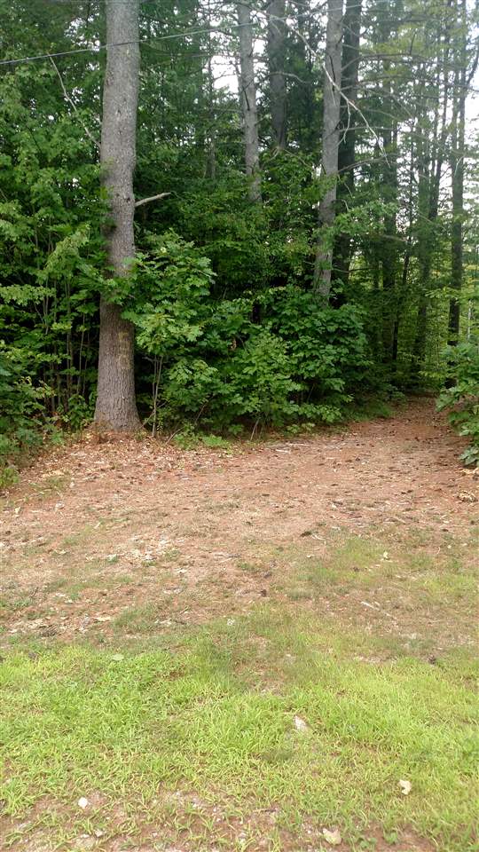 50 Poverty Road Hillsborough, NH 03244 - Photo 22 of 25 Gallery Image 22