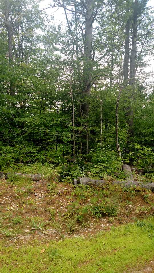 50 Poverty Road Hillsborough, NH 03244 - Photo 23 of 25 Gallery Image 23