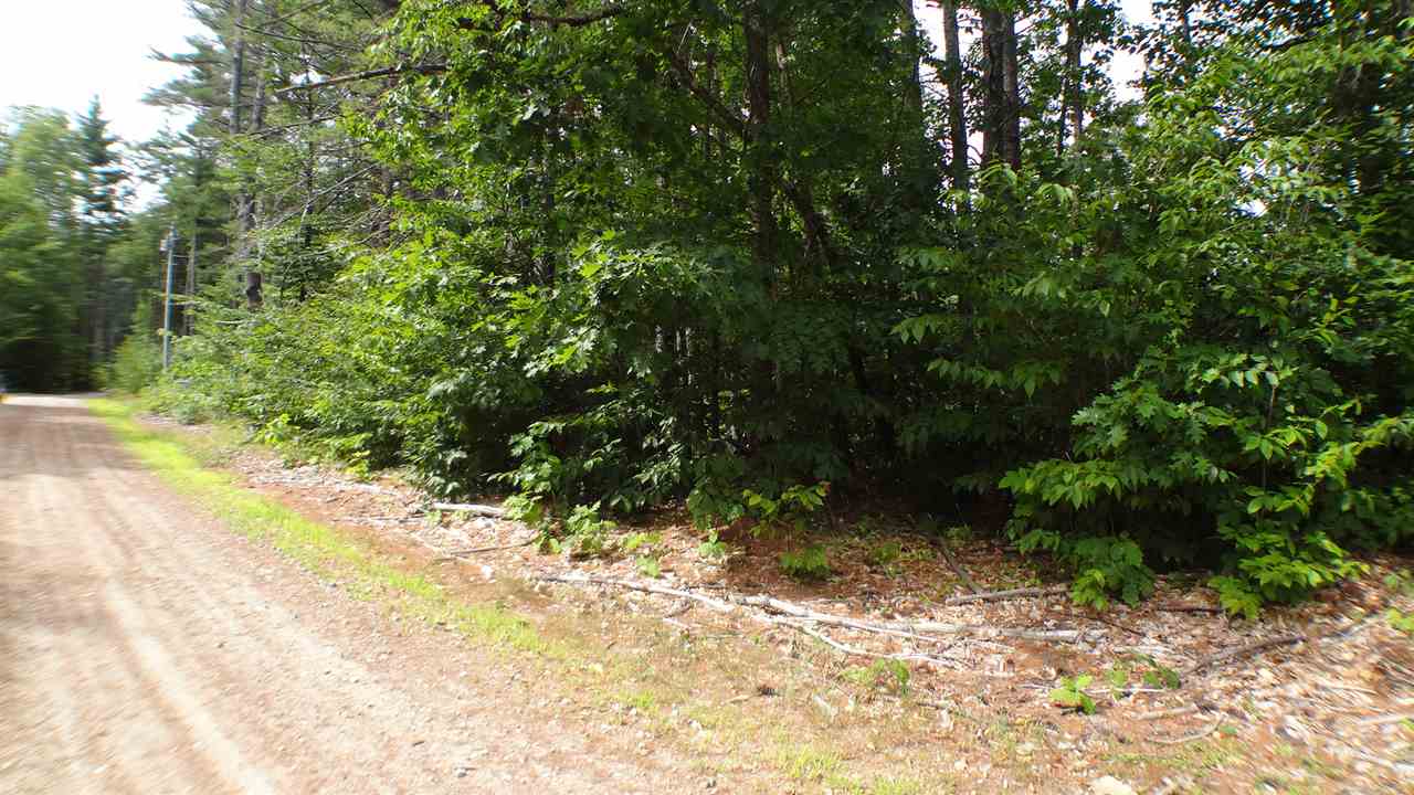 50 Poverty Road Hillsborough, NH 03244 - Photo 4 of 25 Gallery Image 4