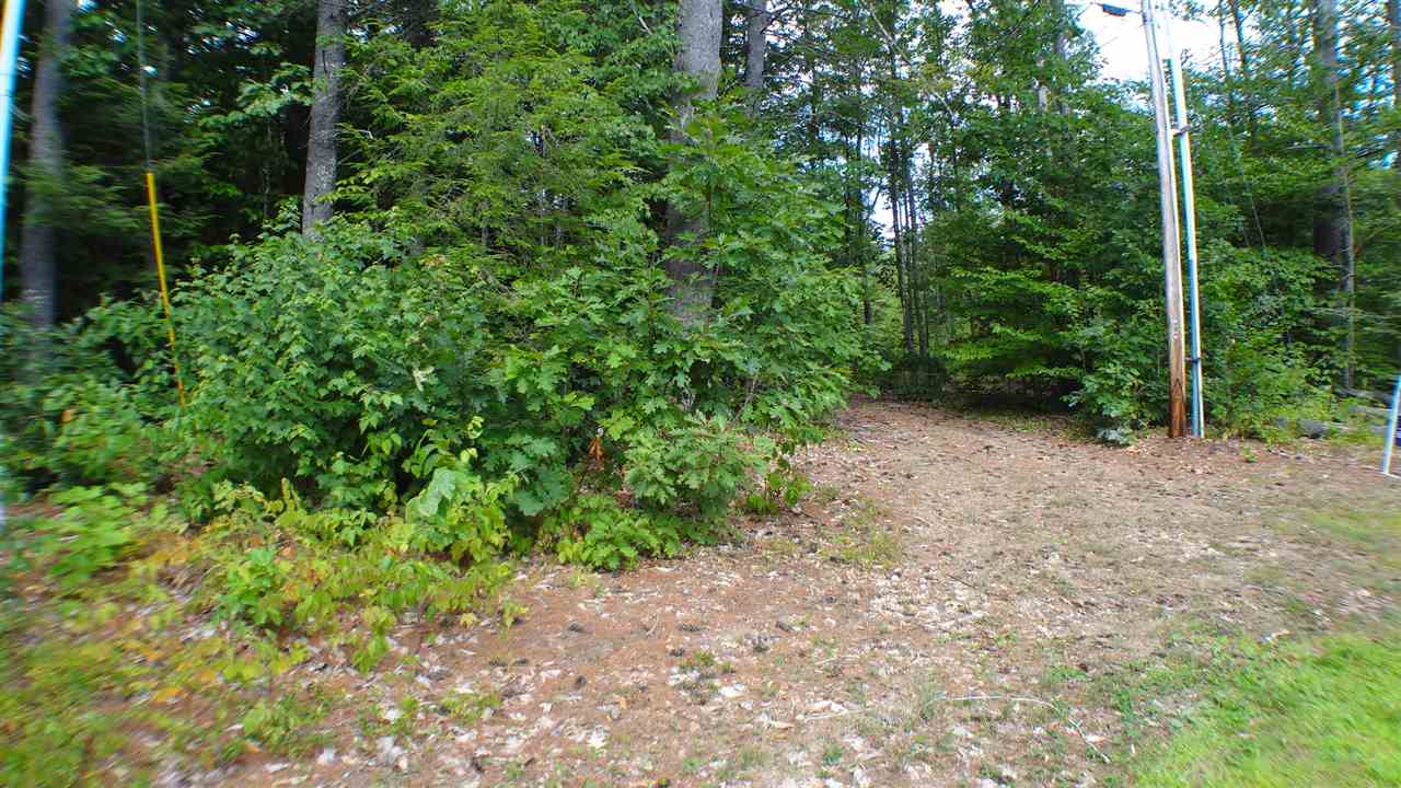 50 Poverty Road Hillsborough, NH 03244 - Photo 6 of 25 Gallery Image 6
