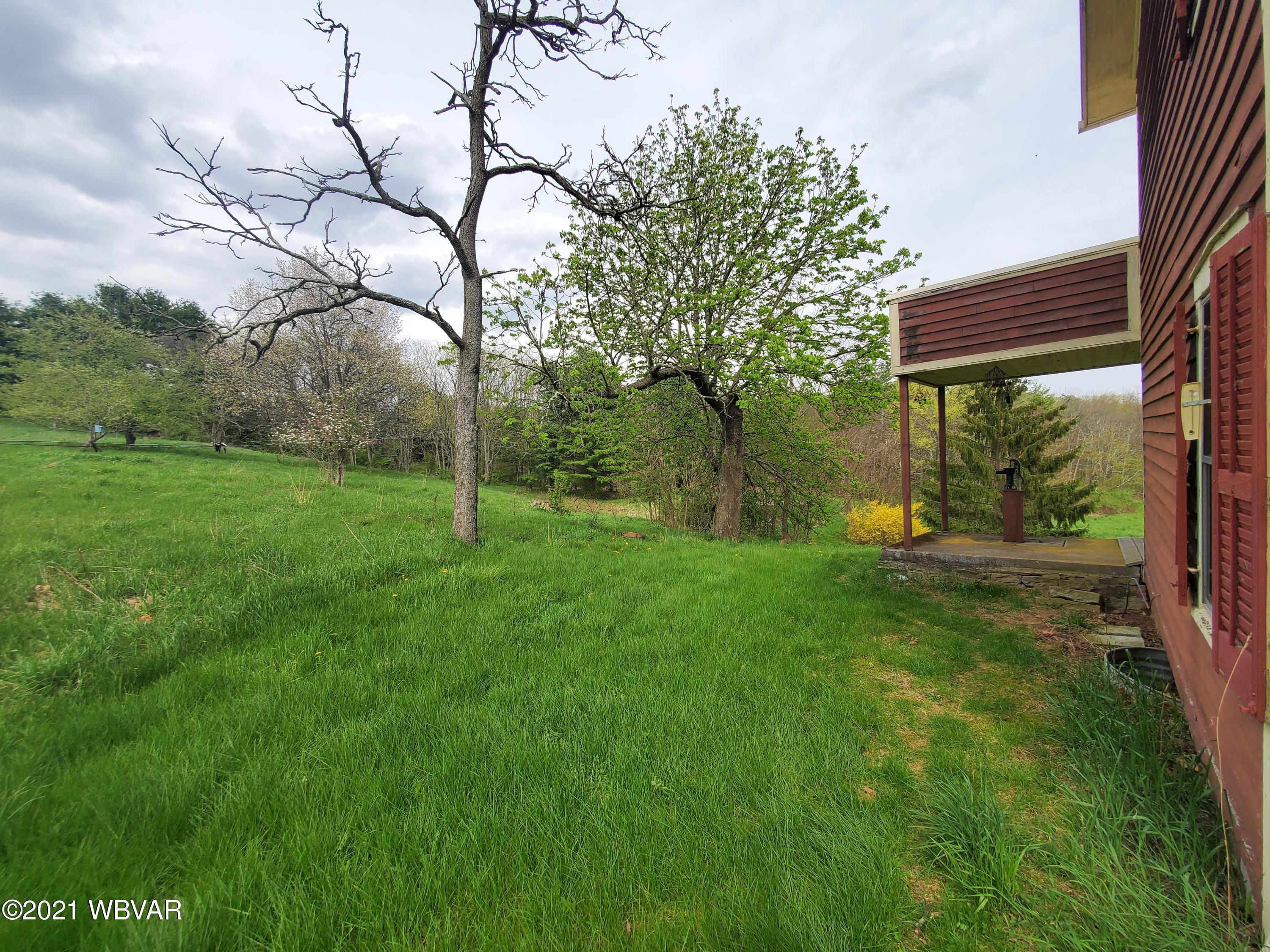 1413 Rock Run Road Cogan Station, PA 17728 - Photo 29 of 56 Gallery Image 29