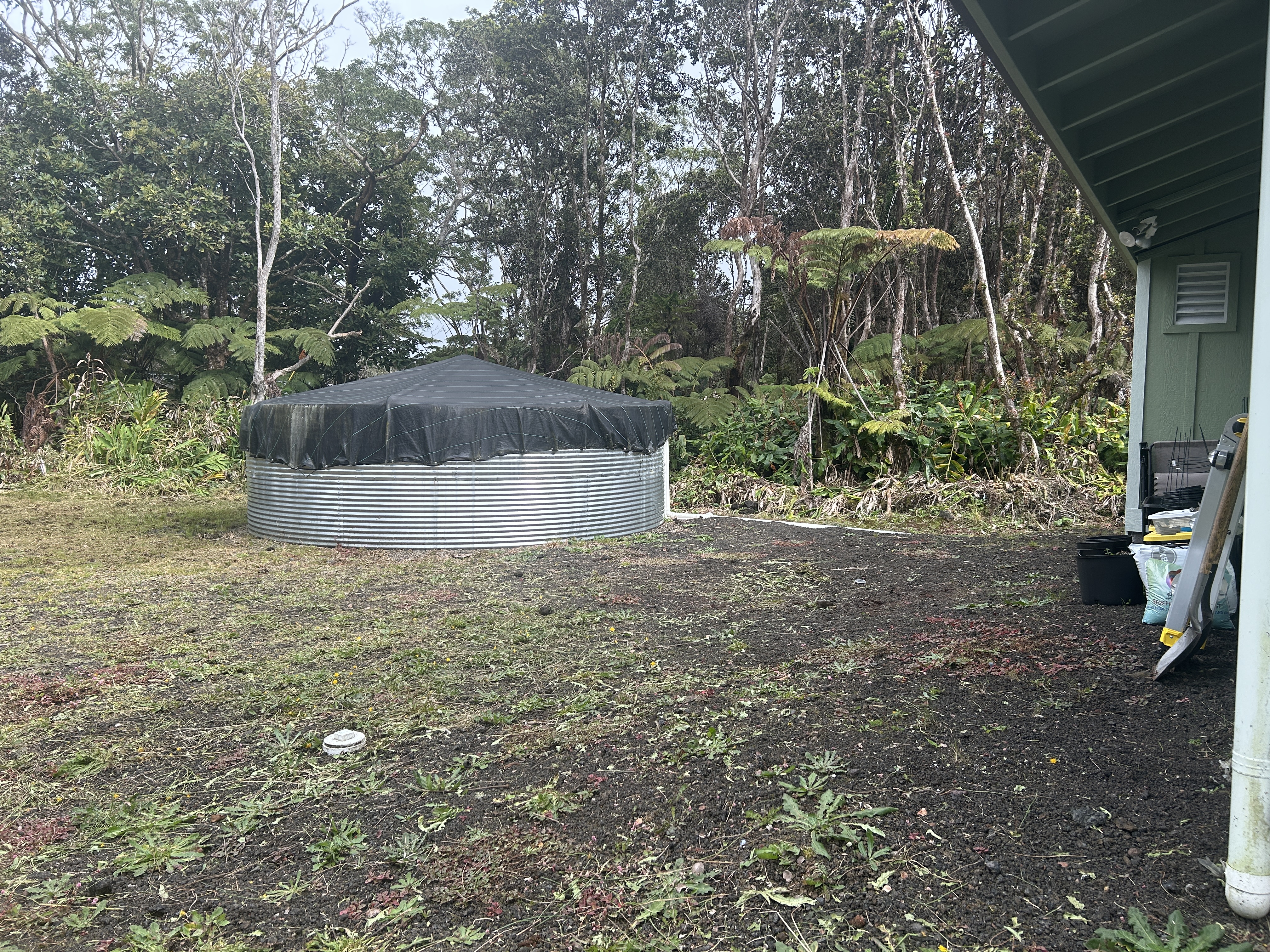 11-3976 Liona Street Volcano, HI 96785 - Photo 25 of 27 a view of a back yard
