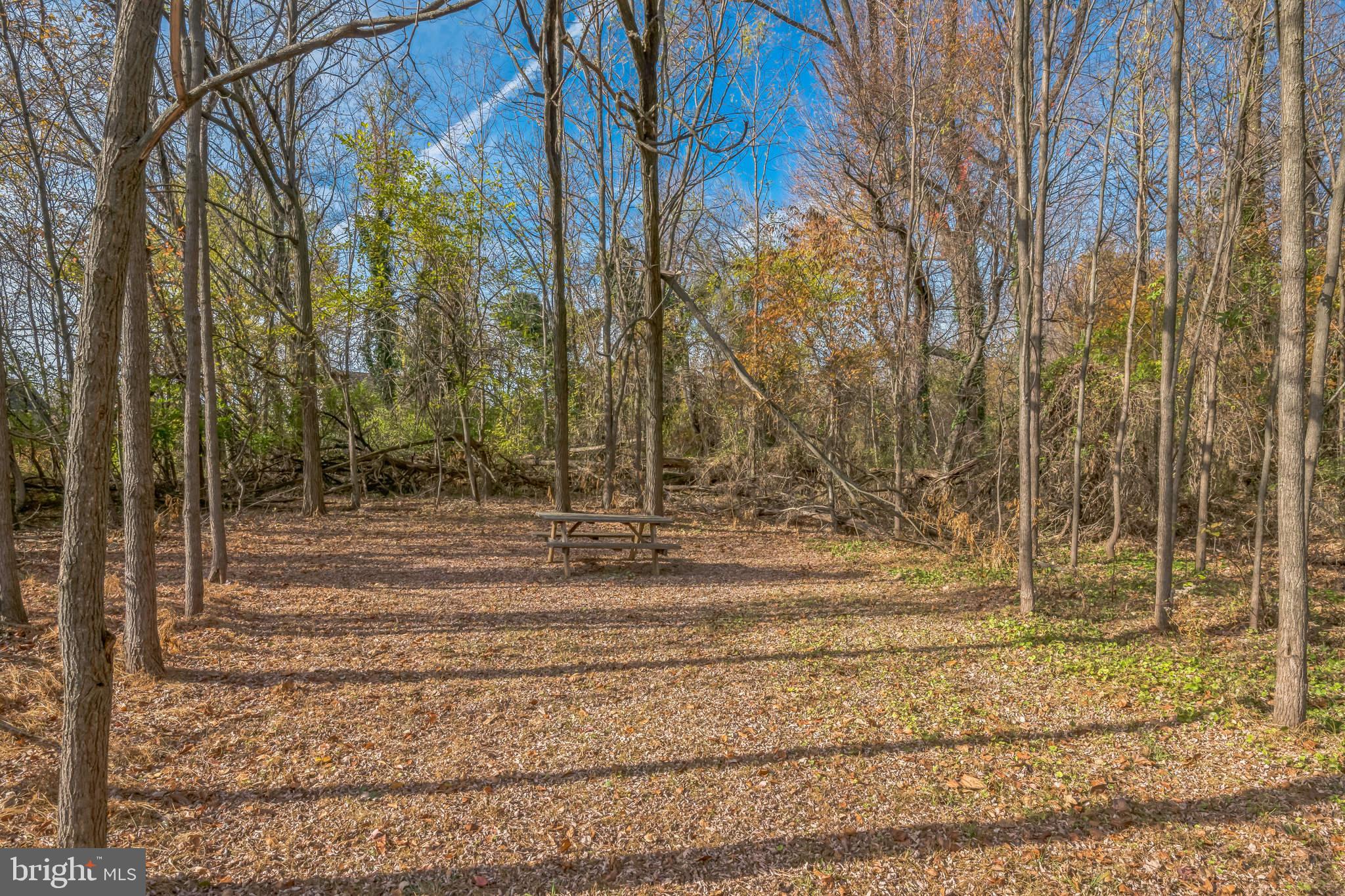 373 Kings Highway Mickleton, NJ 08056 - Photo 6 of 28