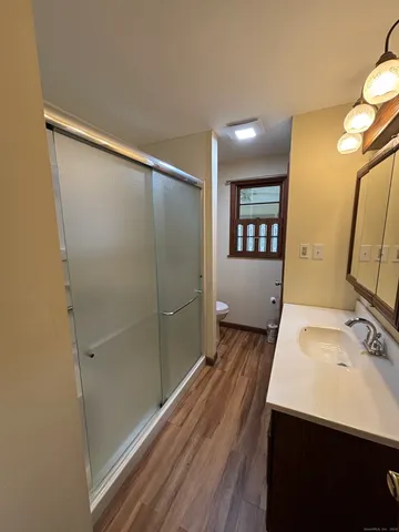 a bathroom with a sink a toilet and mirror