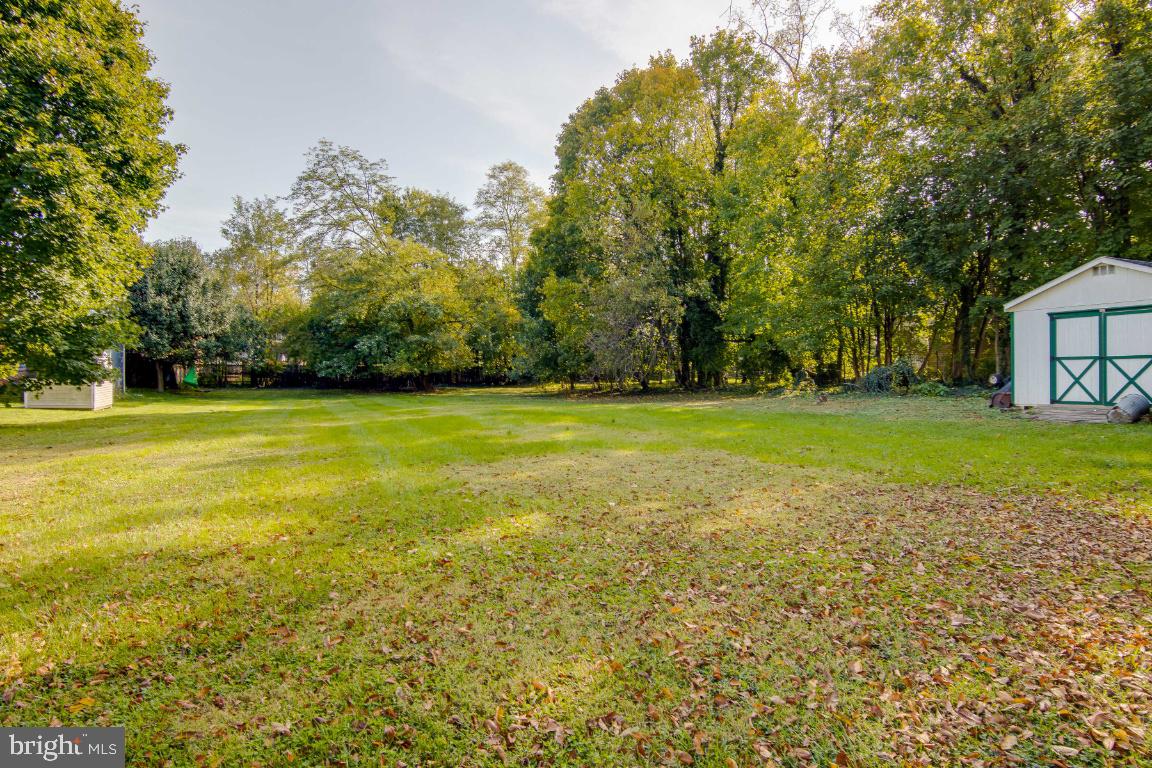 6343 Frederick Road Catonsville, MD 21228 - Photo 37 of 41 This is all your yard!