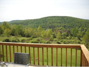 62 Scofield Road Conklin, NY 13748 - Photo 20 of 24 Gallery Image 20