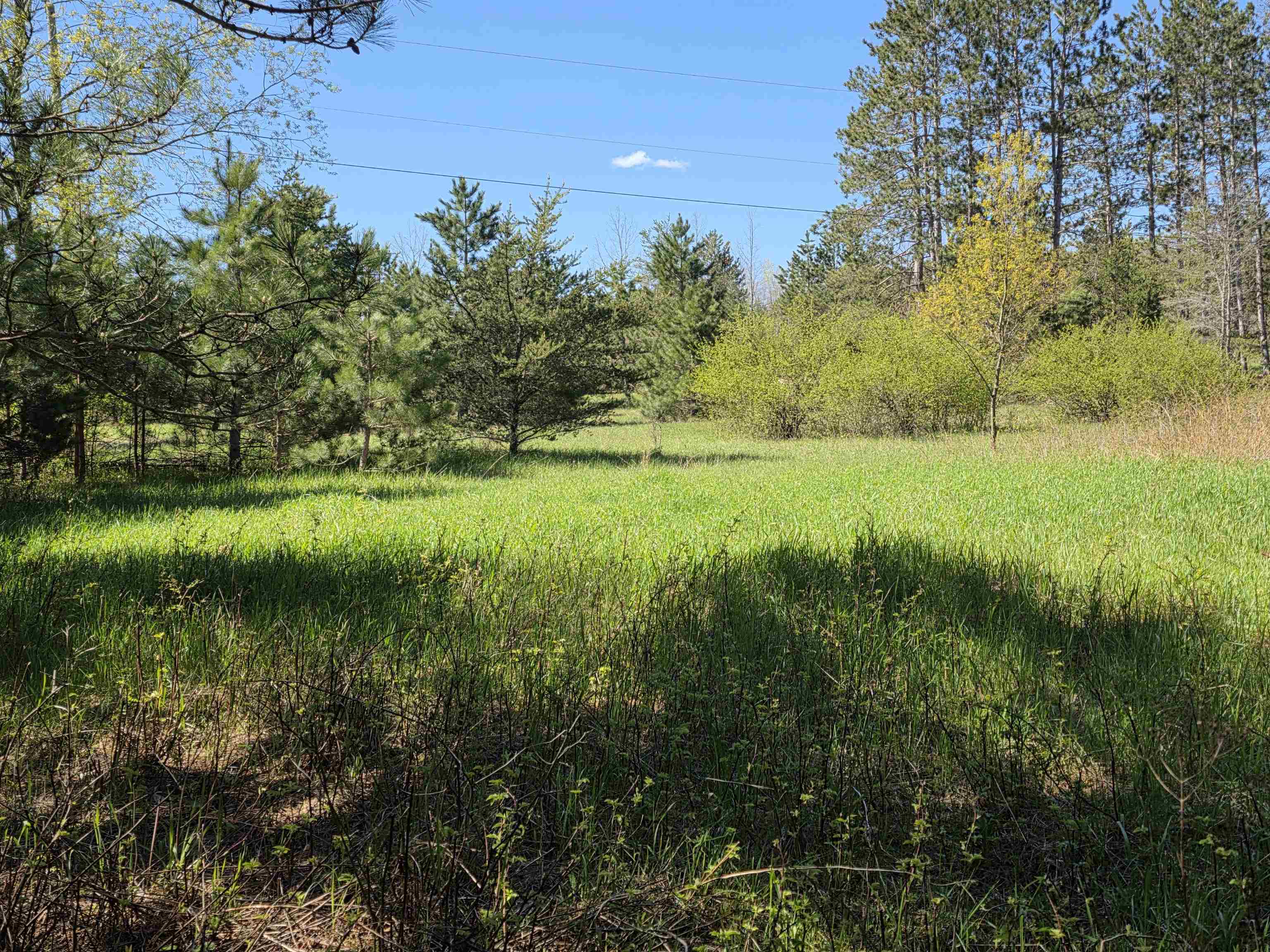 Vl 2-acres Arnold Road Manton, MI 49663 - Photo 11 of 15