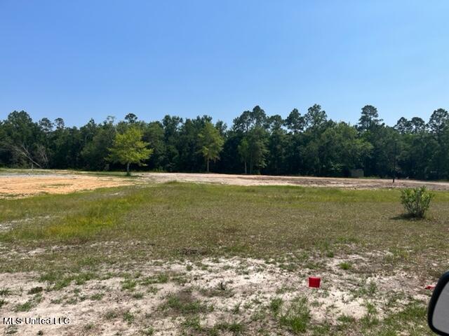 Lot 1 Abbey Road Pass Christian, MS 39571 - Photo 1 of 1 IMG_1508