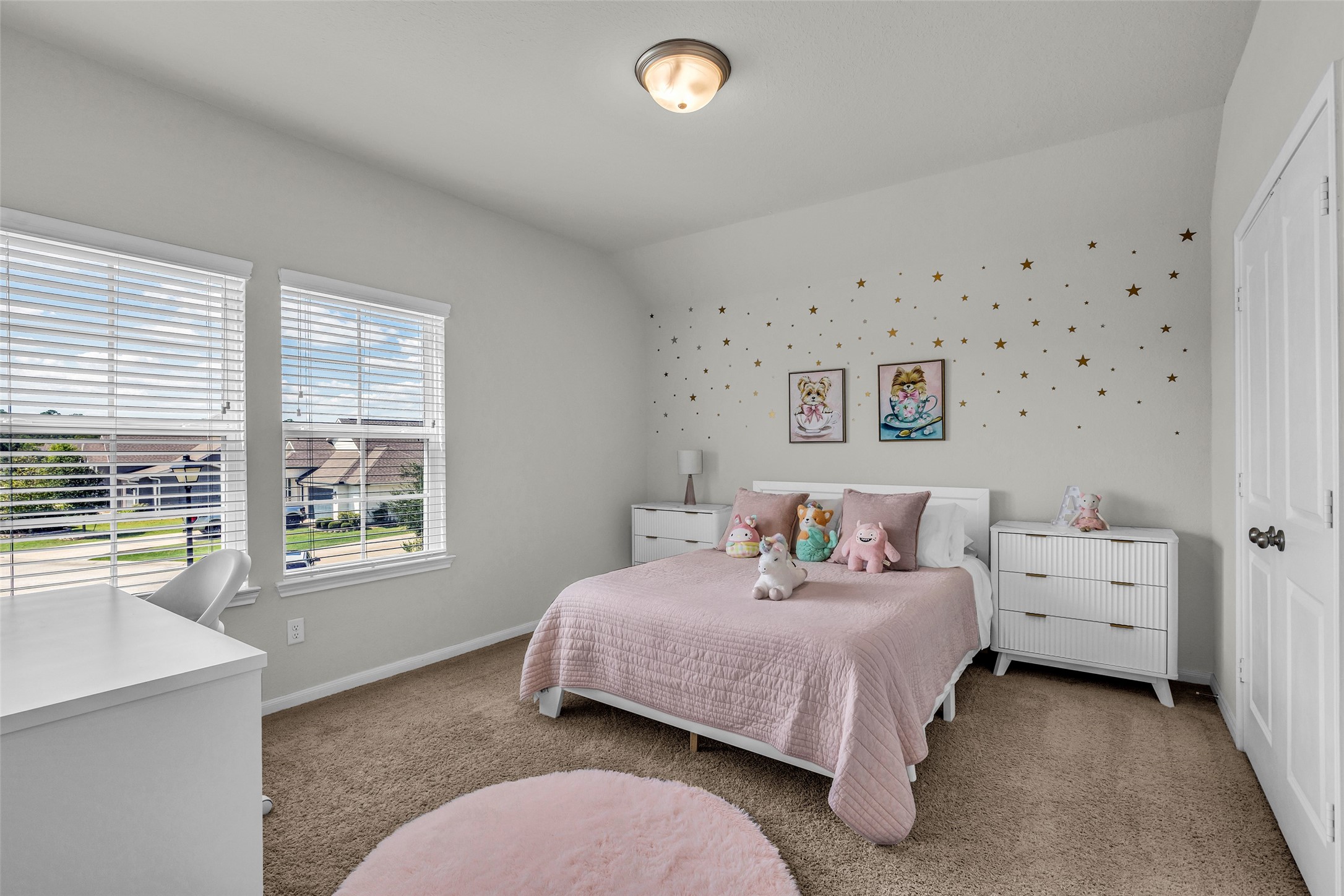 2344 Hagerman Road Conroe, TX 77384 - Photo 20 of 27 4th bedroom with cozy carpet, soft pink accents, and ample natural light from two large windows.