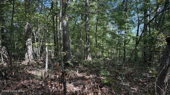 500 Attilla Road Campbellsville, KY 42718 - Photo 13 of 13 13