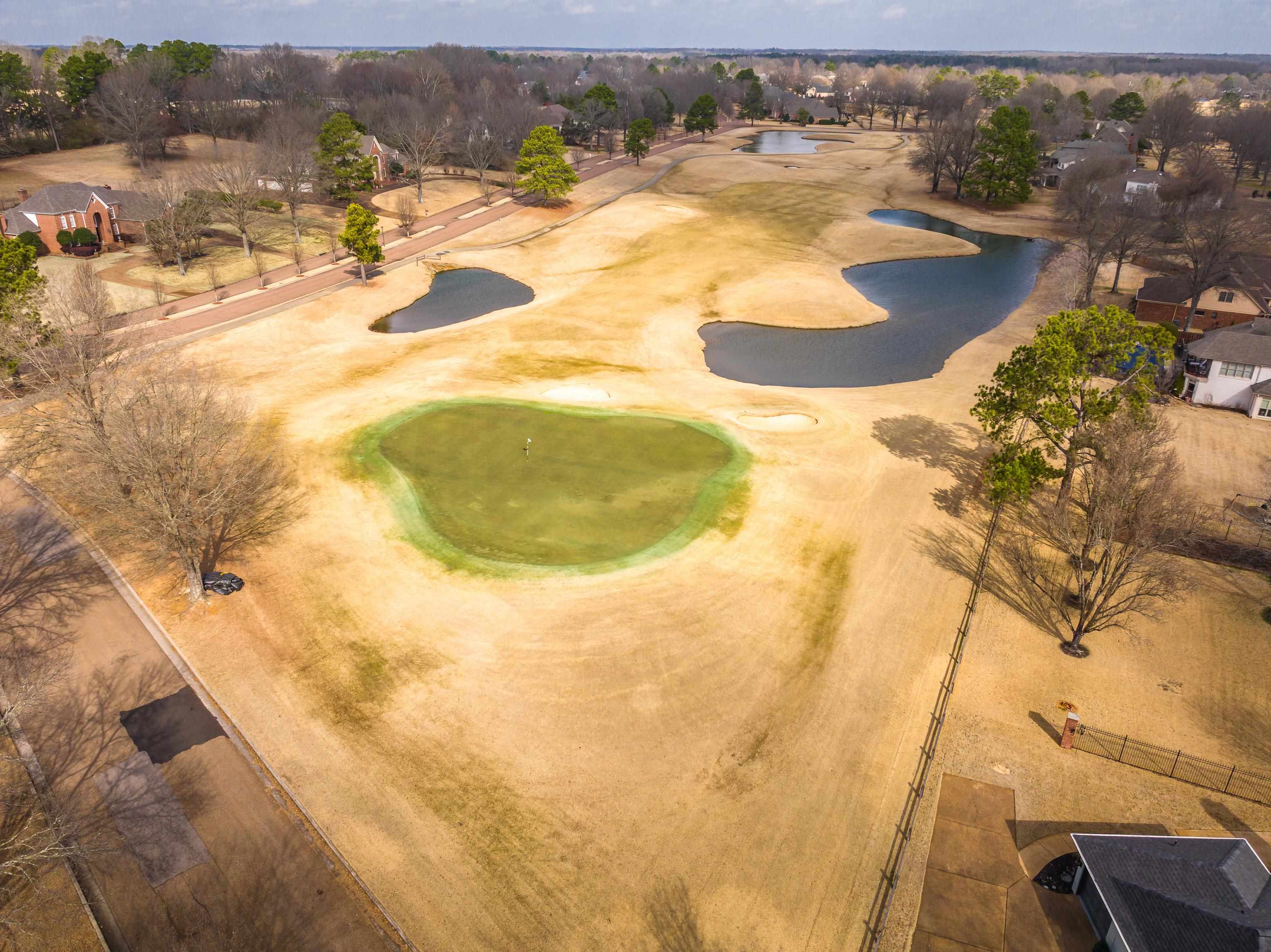 10281 Peyton Path Cove Collierville, TN 38017 - Photo 17 of 40 a view of swimming pool and mountain view