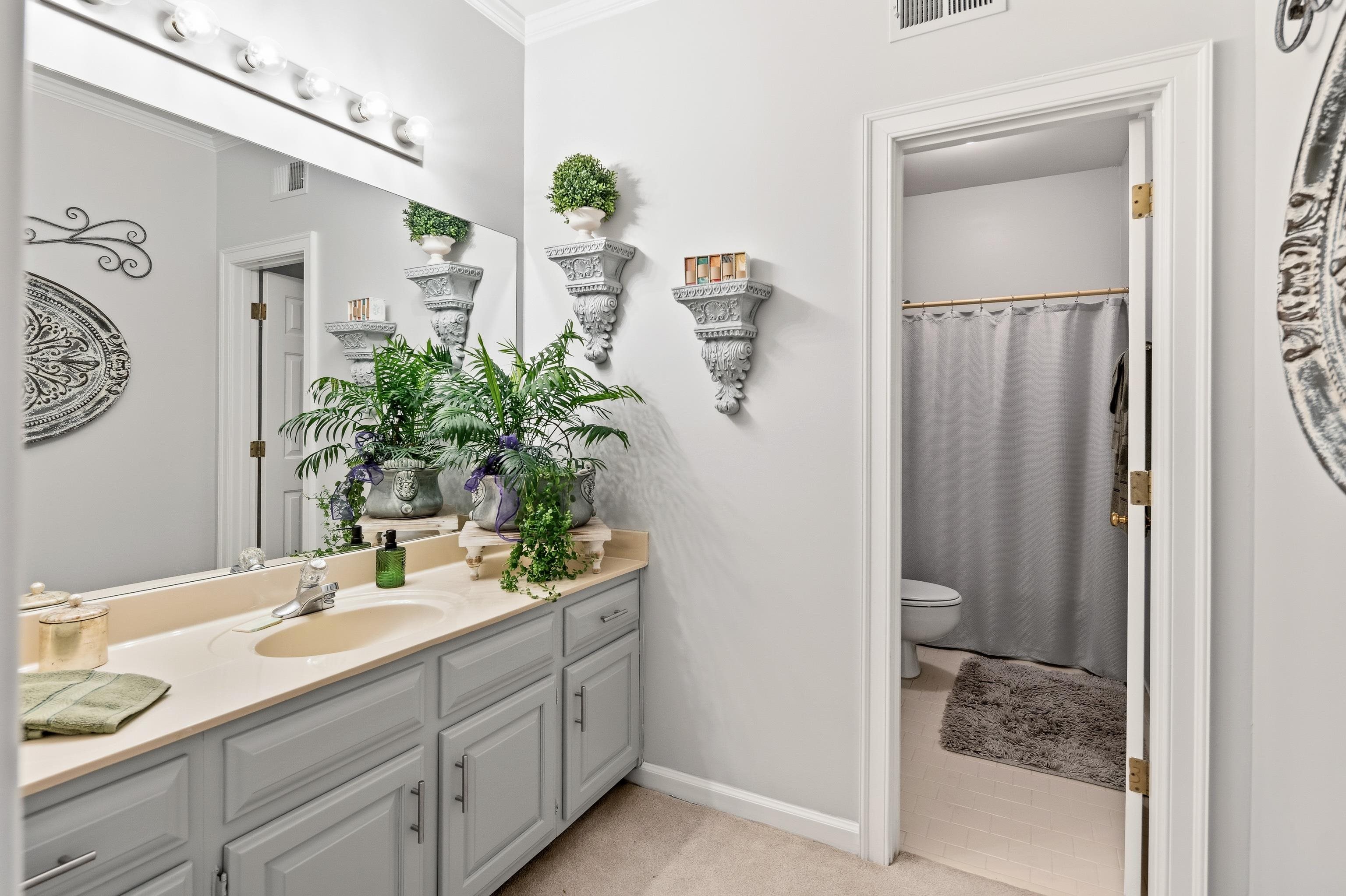 10281 Peyton Path Cove Collierville, TN 38017 - Photo 26 of 40 a bathroom with a granite countertop sink and a mirror