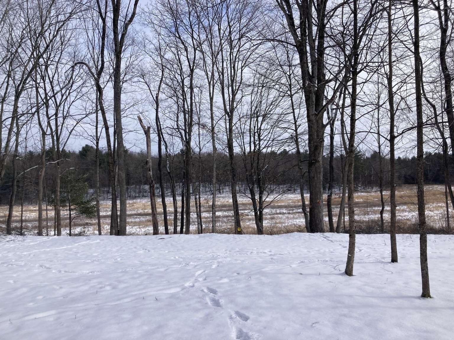 0 Barnes Road Whiting, VT 05778 - Photo 2 of 9