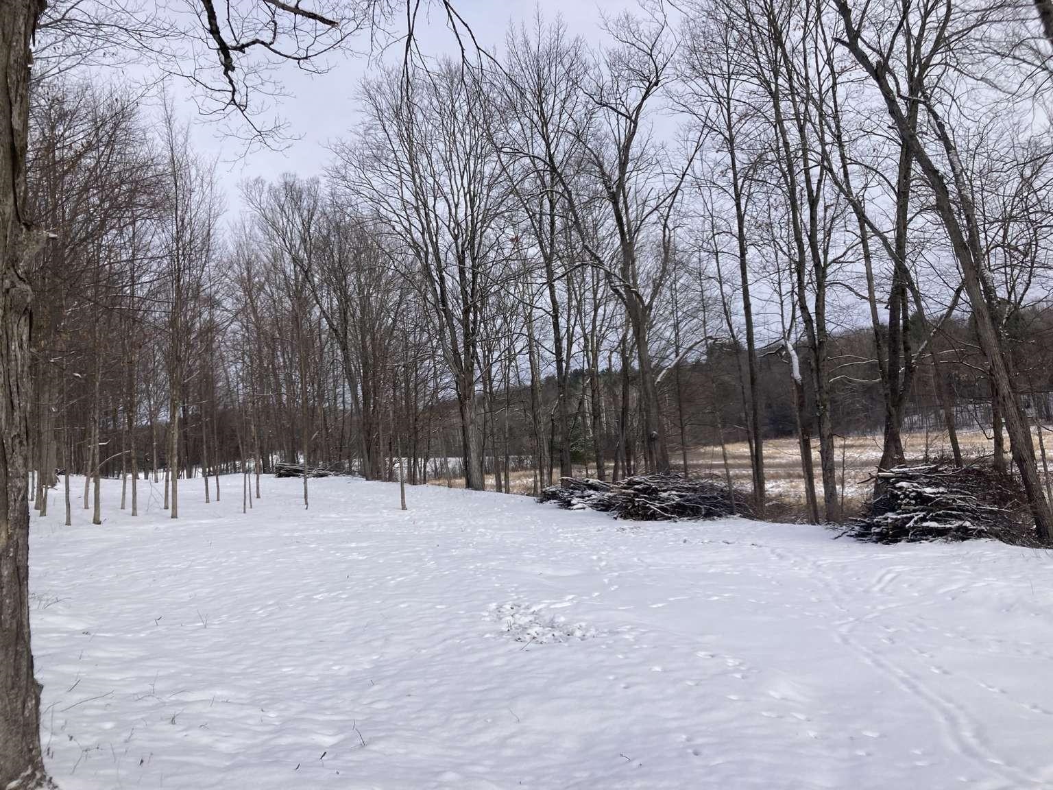 0 Barnes Road Whiting, VT 05778 - Photo 3 of 9