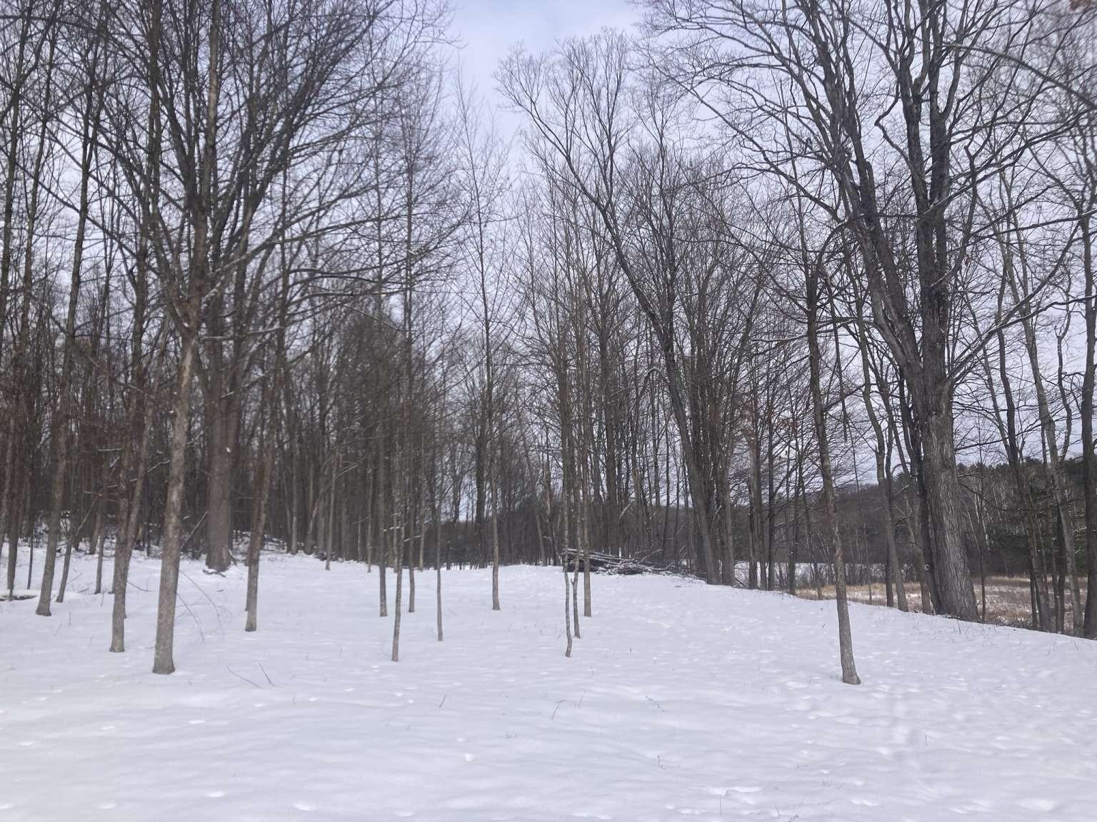 0 Barnes Road Whiting, VT 05778 - Photo 4 of 9