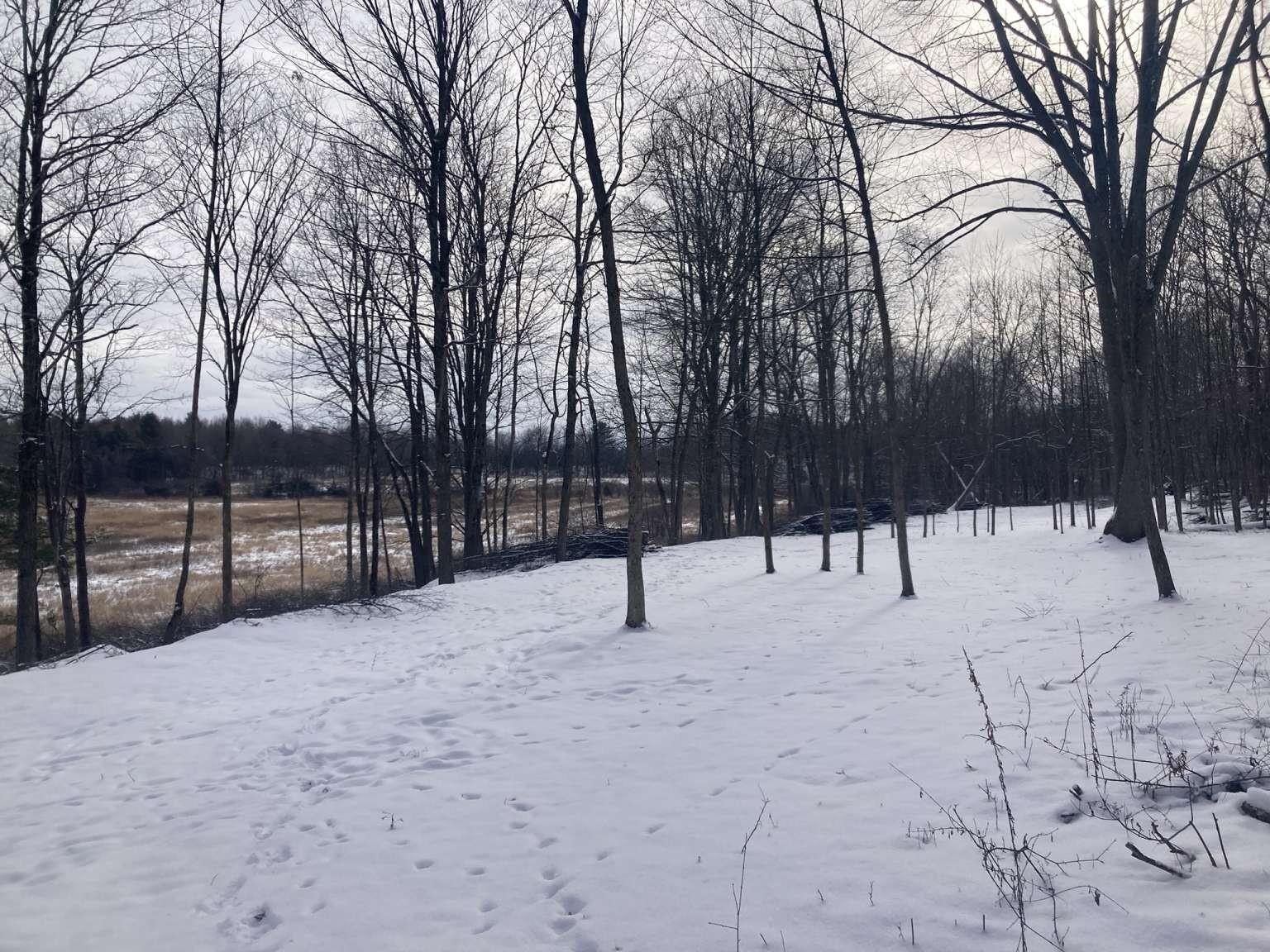 0 Barnes Road Whiting, VT 05778 - Photo 5 of 9