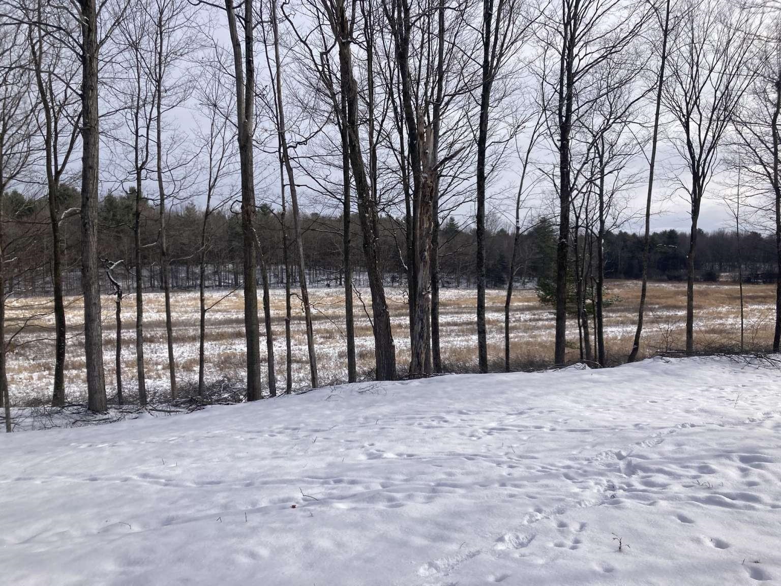 0 Barnes Road Whiting, VT 05778 - Photo 6 of 9