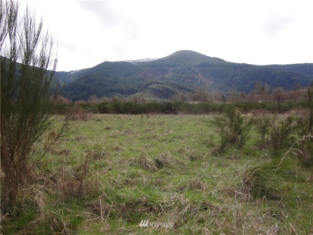 79-lot L River Ranch Road Randle, WA 98377 - Photo 1 of 12 Gallery Image 1