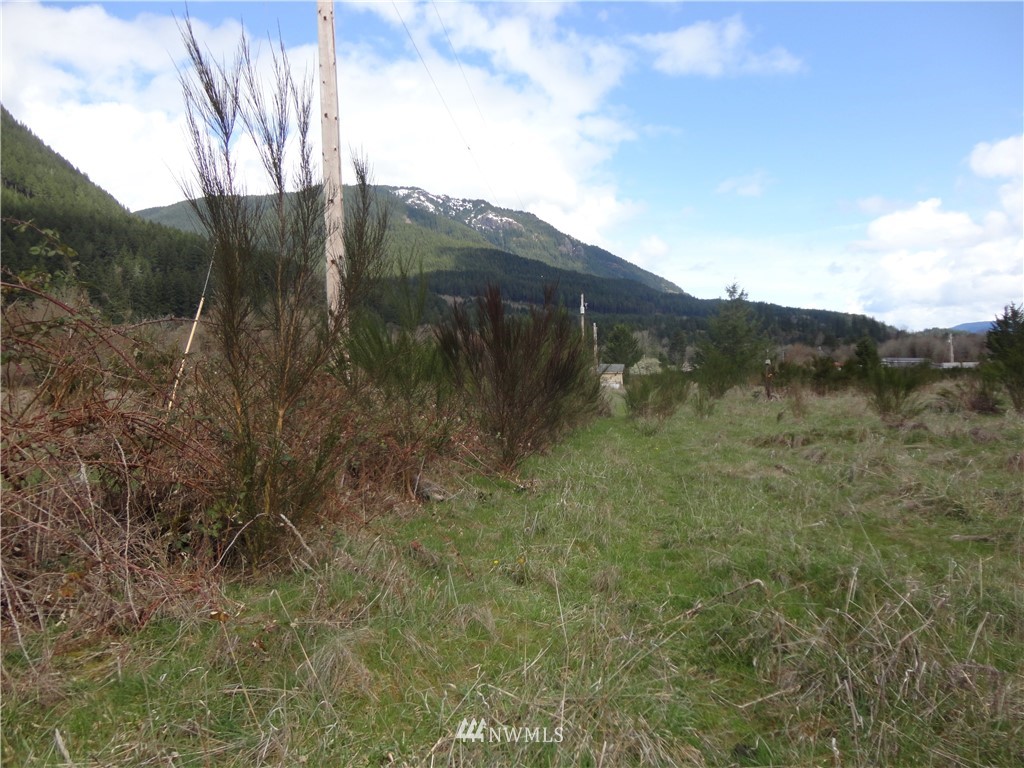 79-lot L River Ranch Road Randle, WA 98377 - Photo 2 of 12 Gallery Image 2