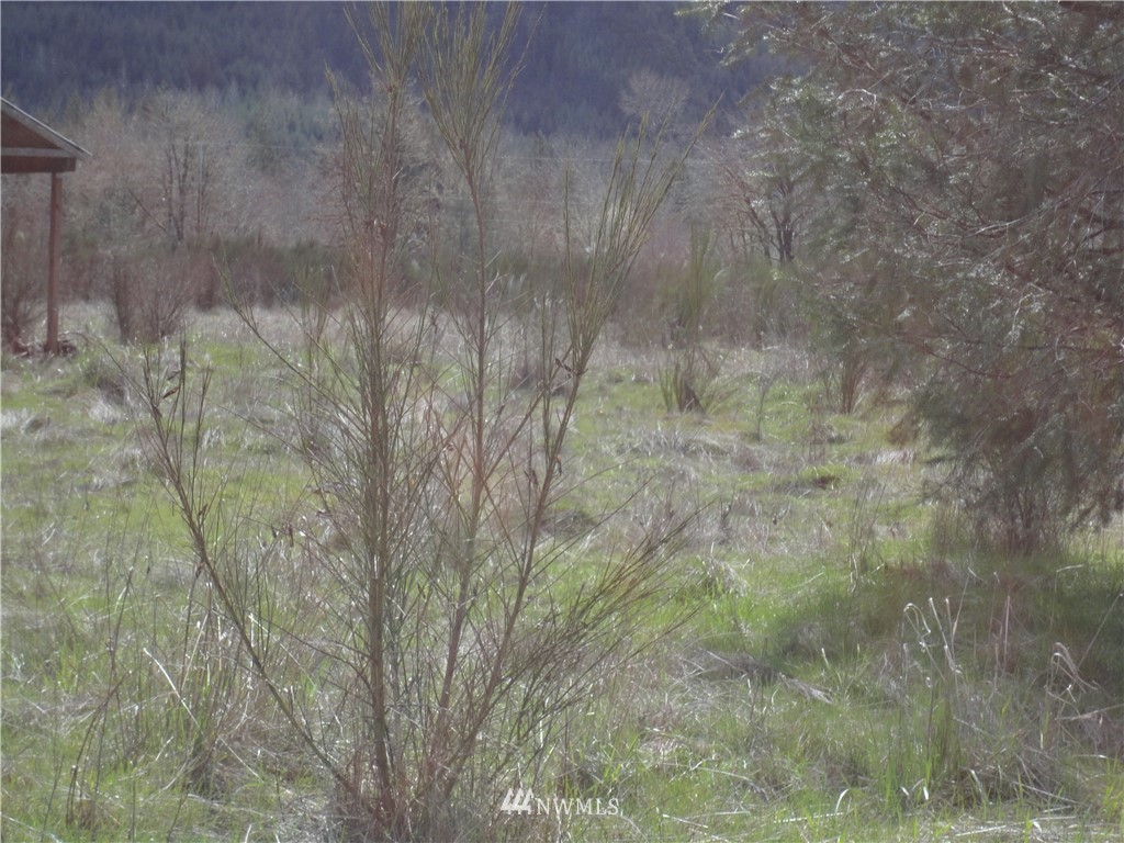 79-lot L River Ranch Road Randle, WA 98377 - Photo 7 of 12 Gallery Image 7