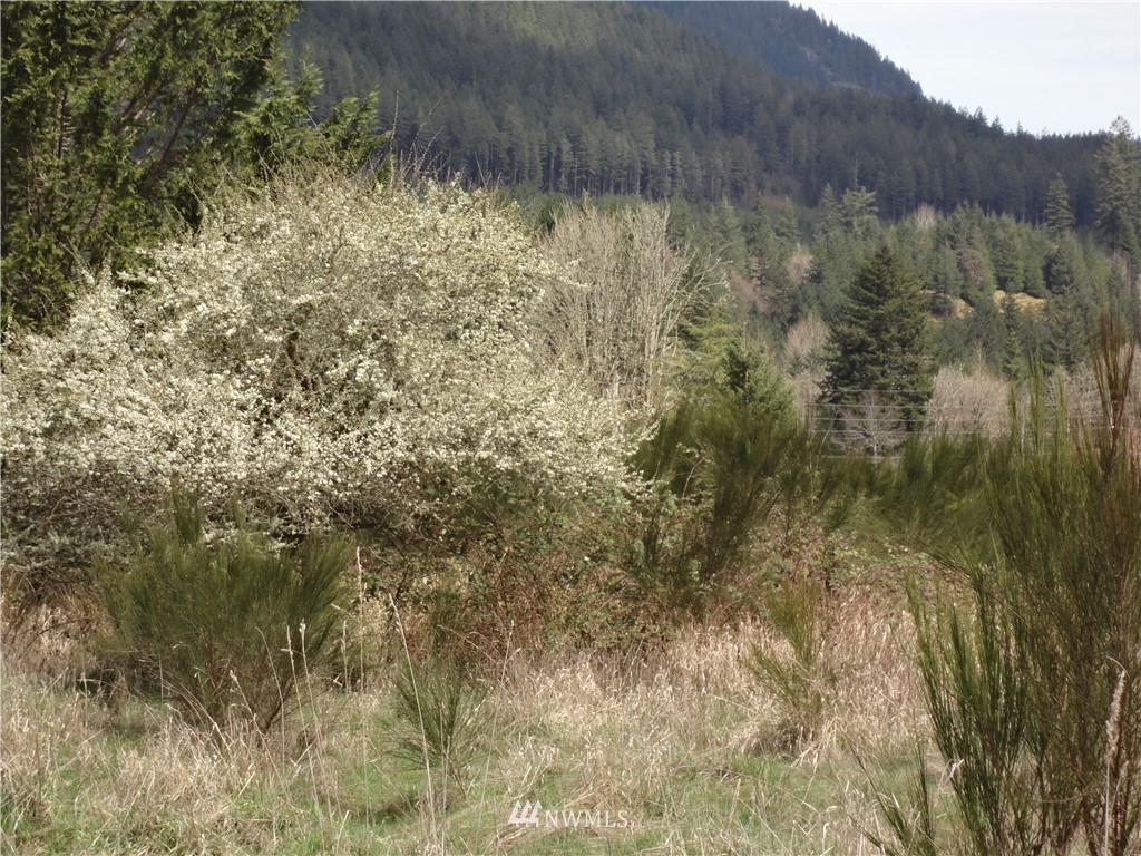 79-lot L River Ranch Road Randle, WA 98377 - Photo 8 of 12 Gallery Image 8