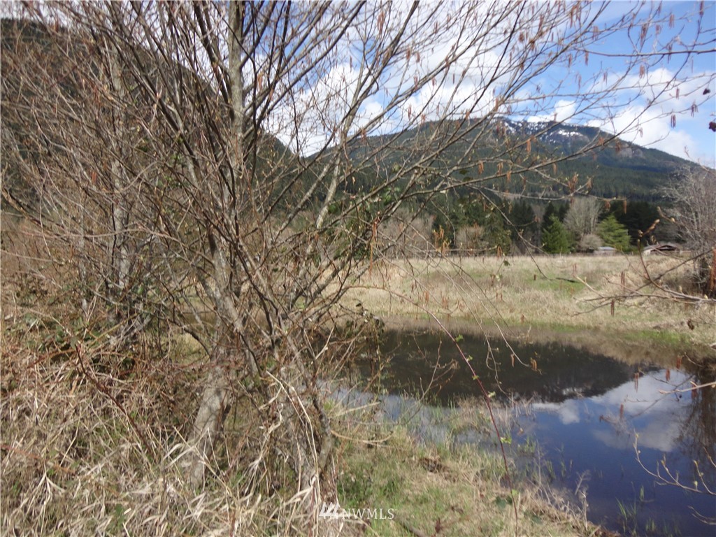 79-lot L River Ranch Road Randle, WA 98377 - Photo 10 of 12 Gallery Image 10