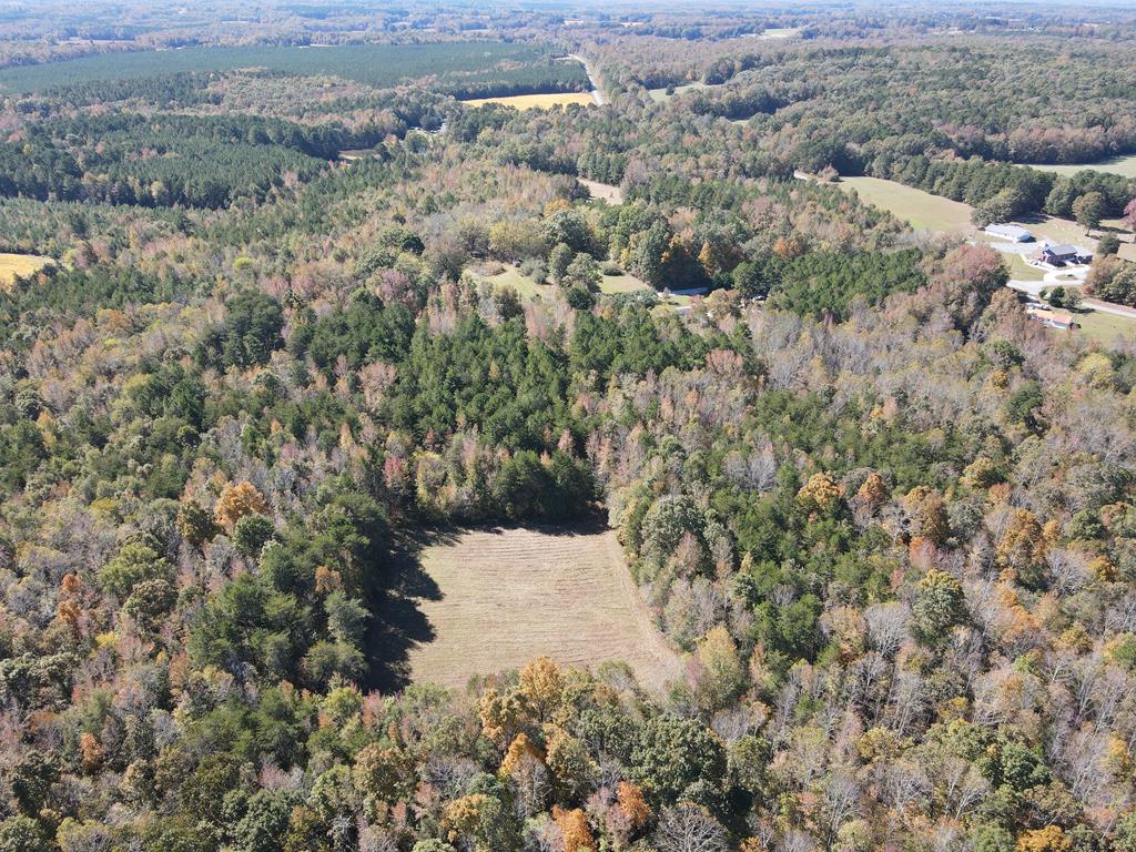 Parcel A South Farmington Road Skipwith, VA 23968 - Photo 1 of 4 Main View
