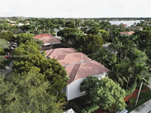 a close up of a plant in a garden