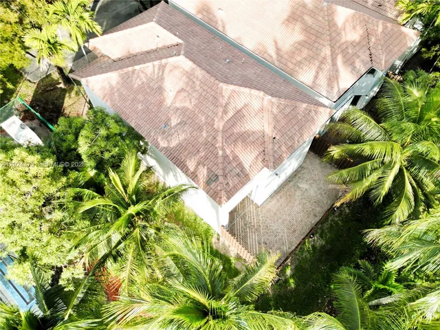 a view of a garden with plants