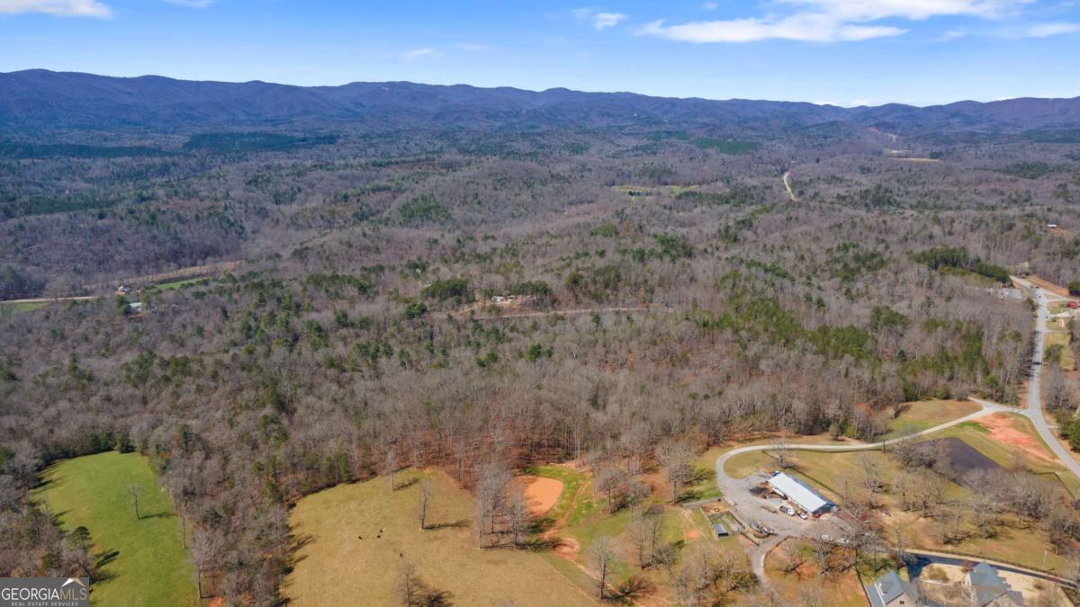 0 Afton Road, Unit 1 Marble Hill, GA 30534 - Photo 19 of 22