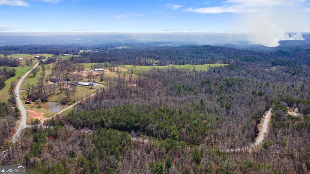 0 Afton Road, Unit 1 Marble Hill, GA 30534 - Photo 7 of 22