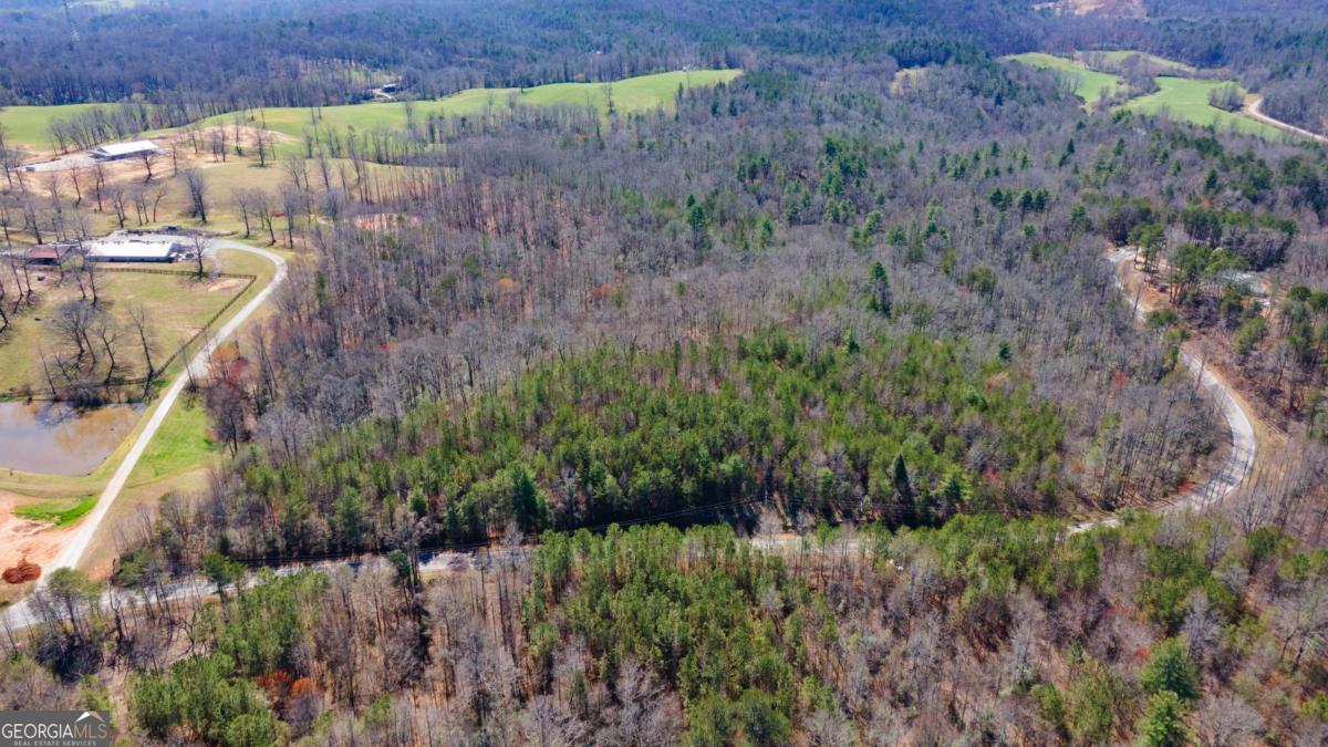 0 Afton Road, Unit 1 Marble Hill, GA 30534 - Photo 9 of 22