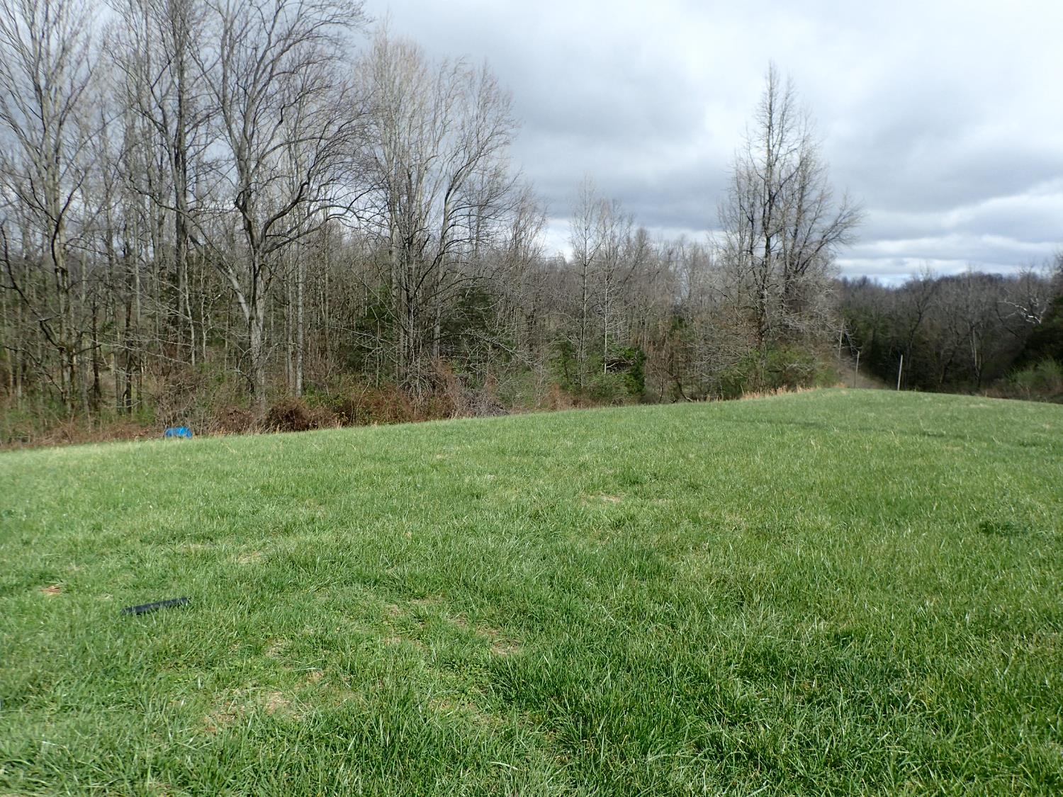 14071 Goodner Road Dillsboro, IN 47018 - Photo 35 of 45